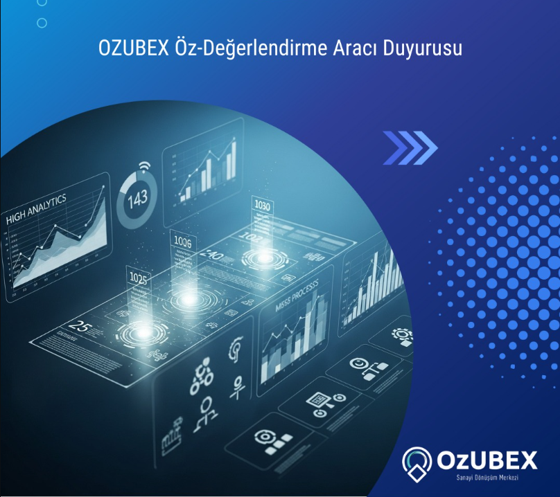 Are You Ready to Measure Your Digital Maturity with the OzUBEX Self-Assessment Form?